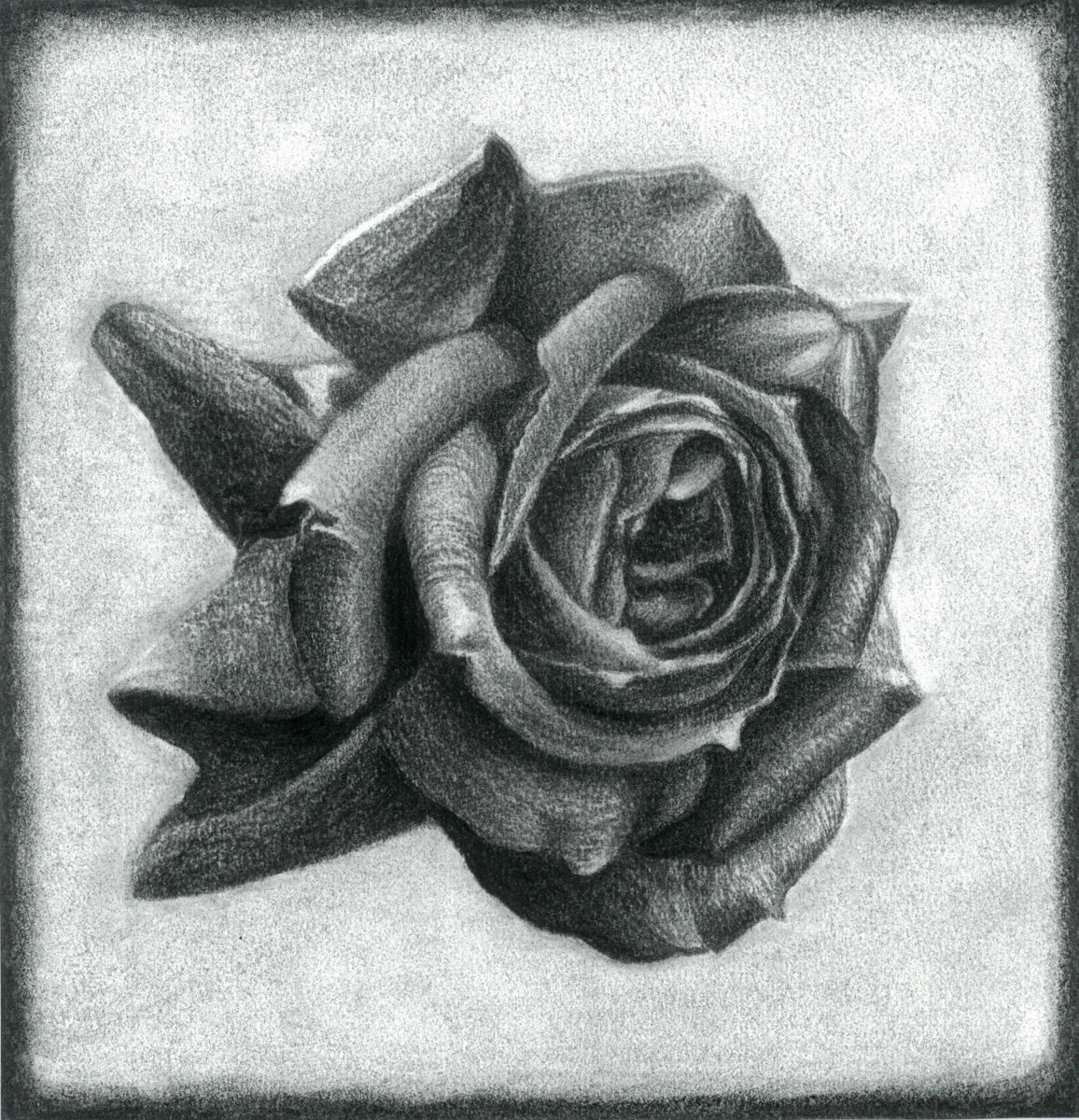 1156x1200 Dark Rose Drawing - Charcoal Flower Drawing