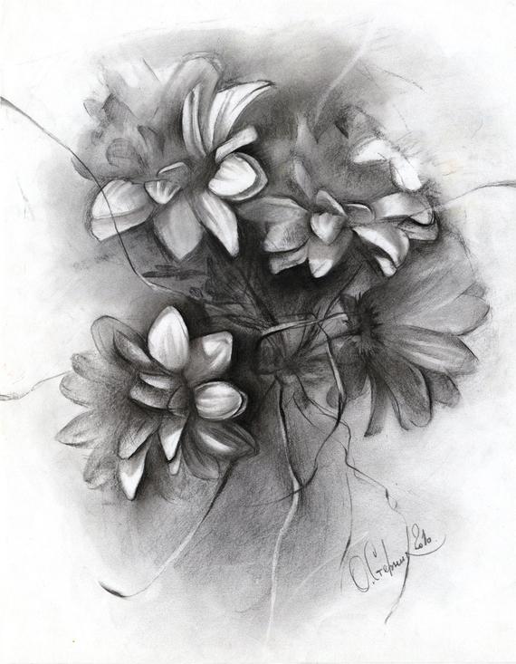 570x733 flower drawing original gerbera charcoal drawing paper etsy - Charcoal Flower Drawing
