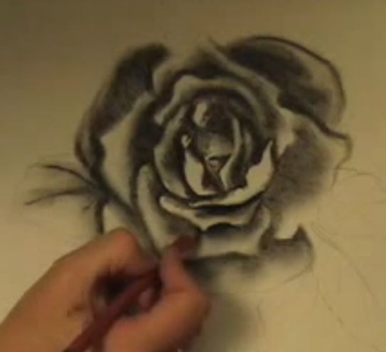 543x495 How To Draw Flowers Charcoal - Charcoal Flower Drawing