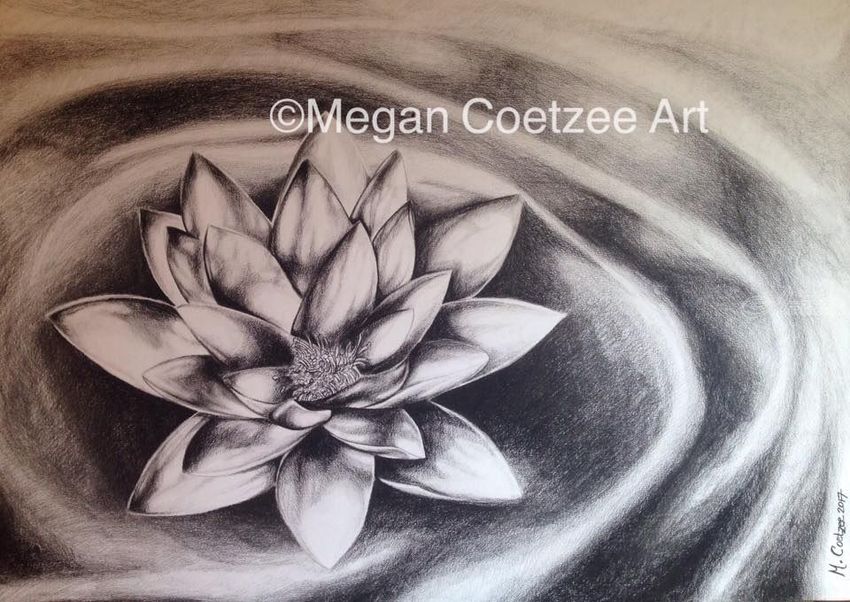 850x602 Lotus Flower Drawings Sketch - Charcoal Flower Drawing