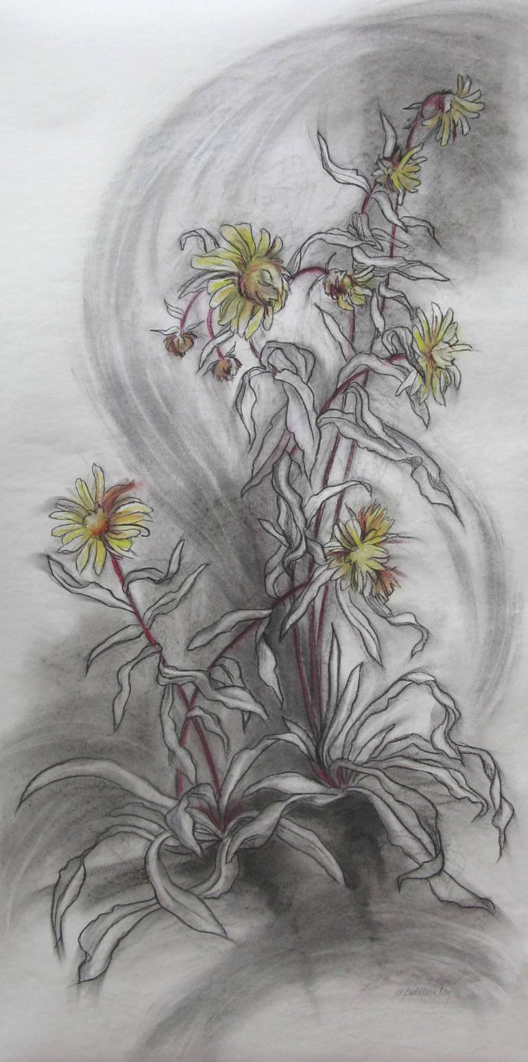 770x1548 Beach Flowers Ii, Charcoal Drawing Drawing - Charcoal Flower Drawing