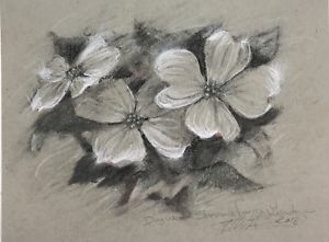 300x221 original dogwood blossoms floral charcoal pastel flowers garden - Charcoal Flower Drawing