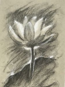 225x300 Original Lotus Flower Floral Artwork Charcoal Pastel Fine Art - Charcoal Flower Drawing