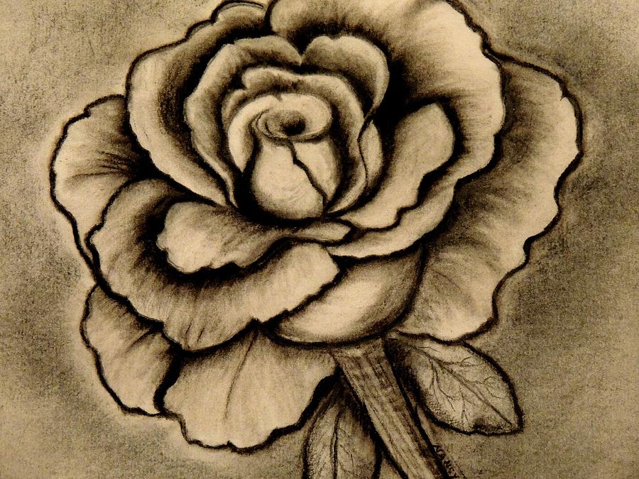 Charcoal Flower Drawing at Explore collection of