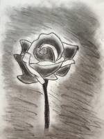 150x200 Stunning Flowers Charcoal Drawings And Illustrations For Sale - Charcoal Flower Drawing
