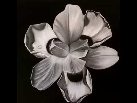 480x360 Charcoal Drawing Flower Series - Charcoal Flower Drawing