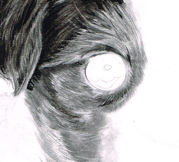 600x542 How To Draw And Render Realistic Fur With Pencils And Charcoal - Charcoal Hair Drawing