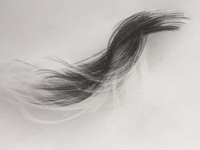 640x480 Drawing - Charcoal Hair Drawing