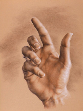 336x450 Drawing Hands And Flowers - Charcoal Hand Drawing