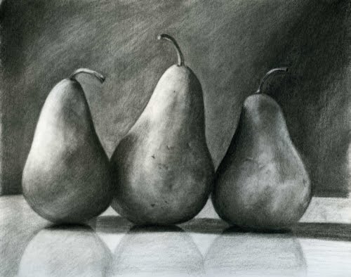 500x394 Art One - Charcoal Still Life Drawing