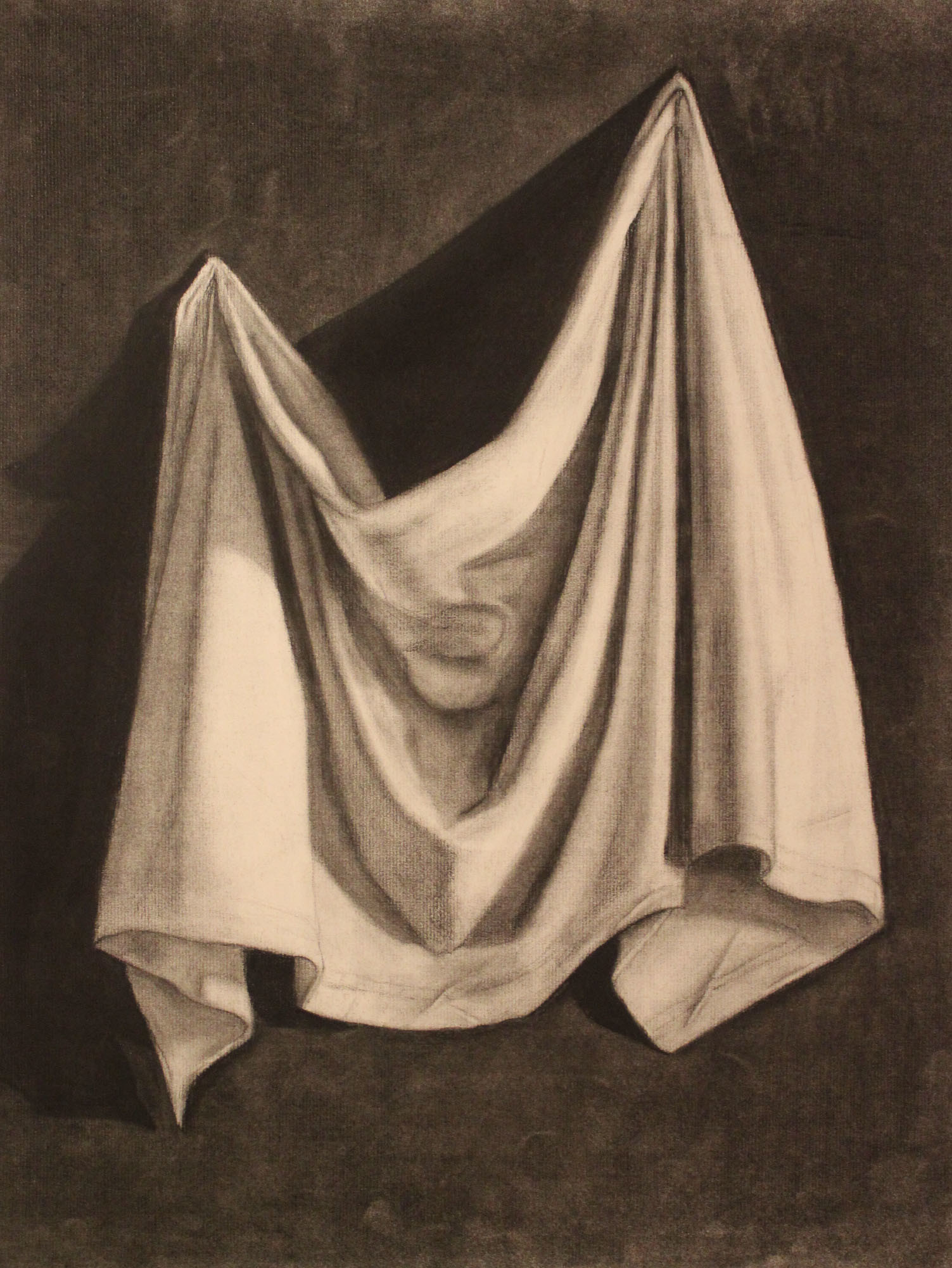 1503x2001 stephanie nakhle - Charcoal Still Life Drawing