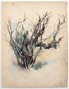 234x300 Frederick Henry Townsend Charcoal Drawing Study - Charcoal Tree Drawing