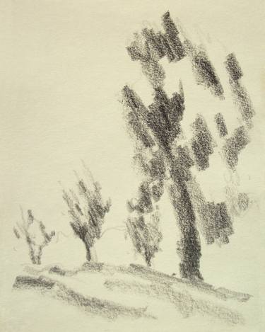 375x469 Italian Landscapes Four Trees In The Countryside - Charcoal Tree Drawing