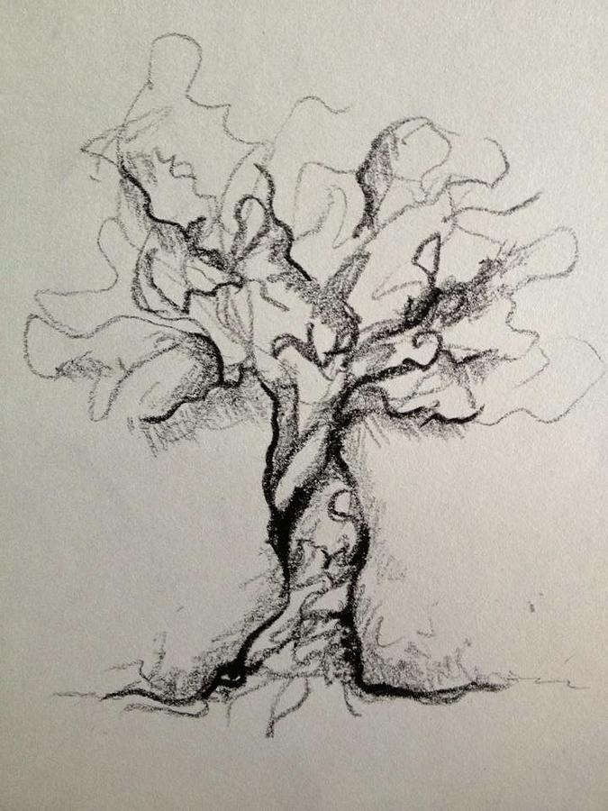 Charcoal Tree Drawing at Explore collection of