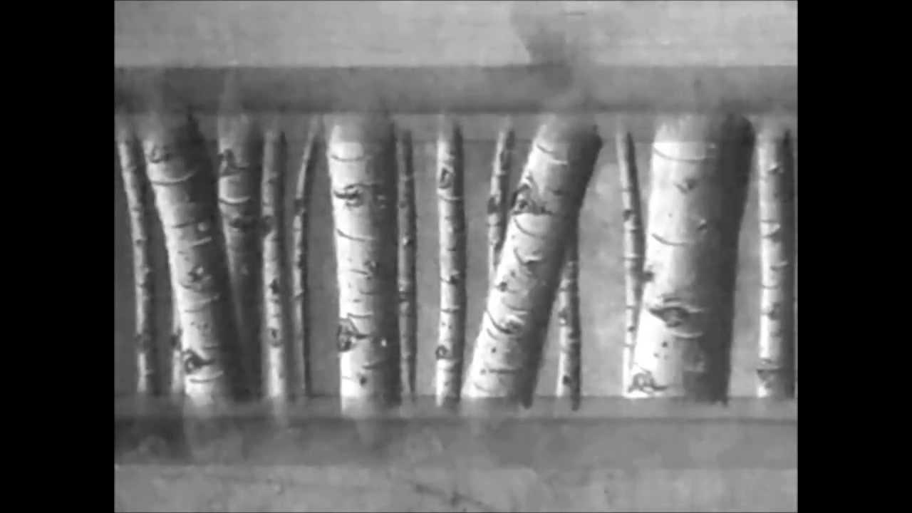 1280x720 Charcoal Trees Speed Drawing - Charcoal Tree Drawing