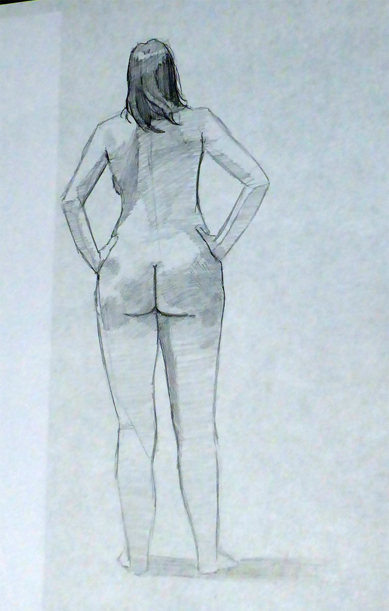 765x1200 photos - Chard Drawing