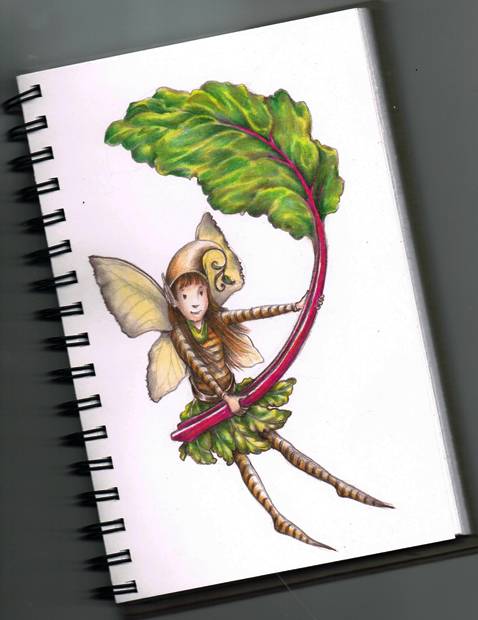 478x620 ruby red' chard = a very tasty new year - Chard Drawing