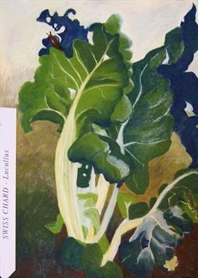285x400 susan deakin swiss chard vegetables soil - Chard Drawing