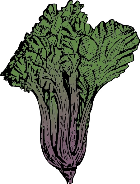 450x593 swiss chard clip art free vector in open office drawing - Chard Drawing