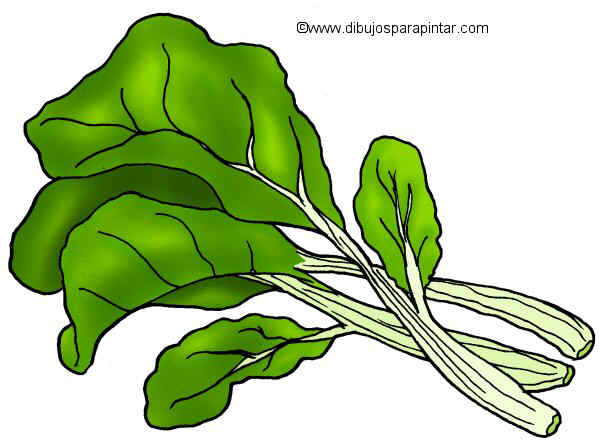 600x446 chards drawing - Chard Drawing