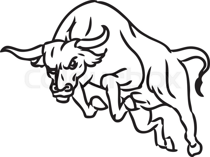 800x601 Freehand Sketch Illustration Of Stock Vector Colourbox - Charging Bull Drawing