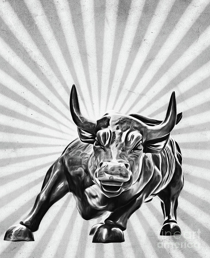 732x900 wall street charging bull black and white sunburst photograph - Charging Bull Drawing