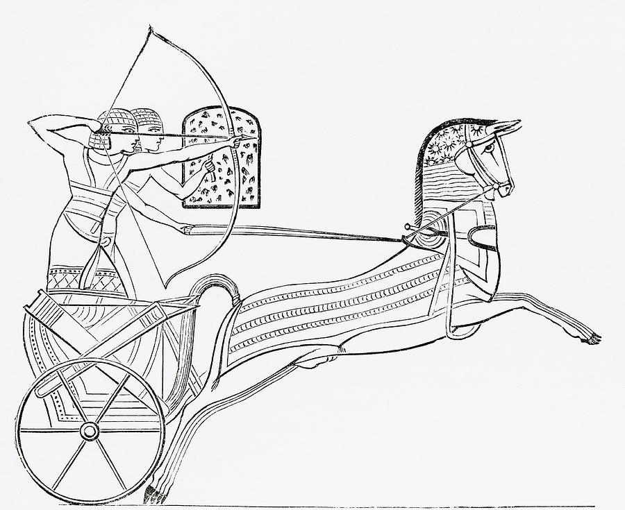 900x735 egyptian war chariot from the imperial drawing - Chariot Drawing