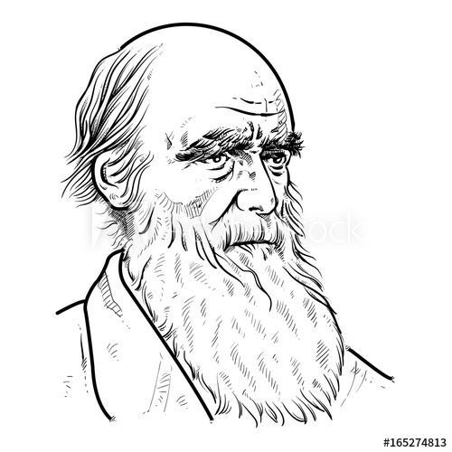 Charles Darwin Drawings at Explore collection of