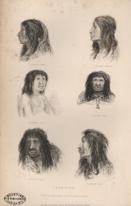 190x299 illustrations in darwin online - Charles Darwin Drawings