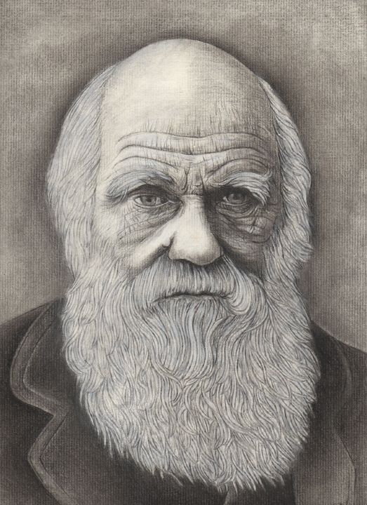 Charles Darwin Drawings at Explore collection of