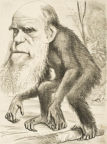 220x296 charles darwin - Charles Darwin Drawings