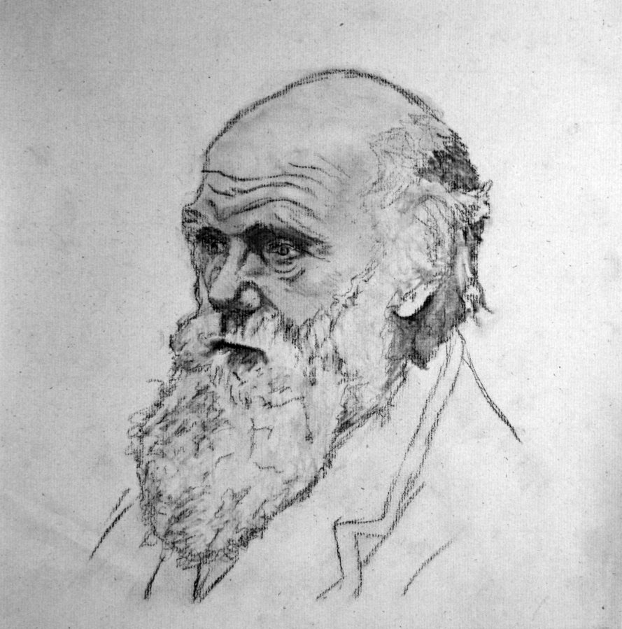 Charles Darwin Drawings at Explore collection of