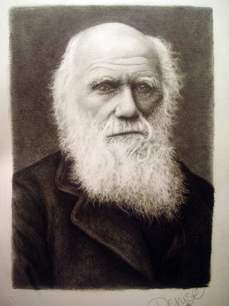 900x1200 charles darwin high quality wallpaper - Charles Drawing