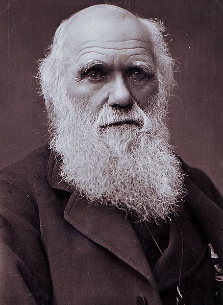 437x597 charles darwin d april, unbound - Charles Drawing