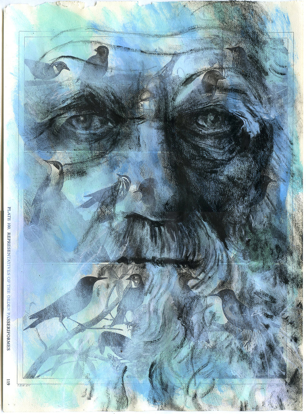 1000x1351 charles darwin daniel baxter art - Charles Drawing