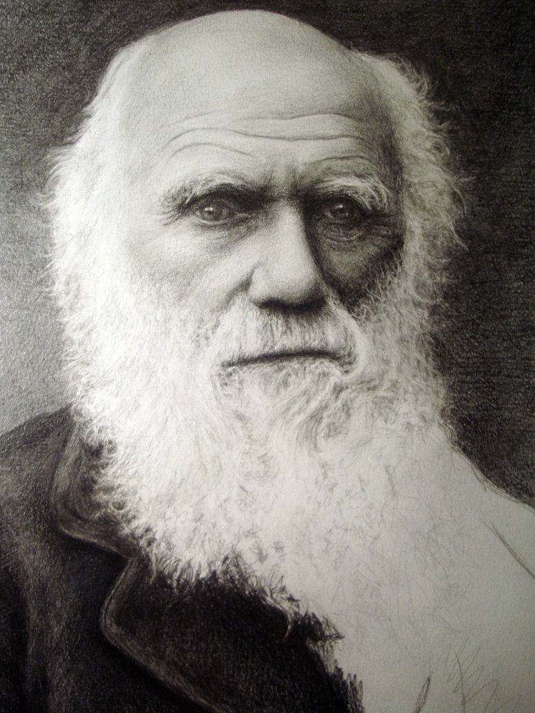 774x1032 Charles Darwinpowerful Legacy For Science And Art - Charles Drawing