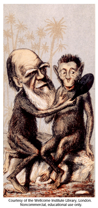 330x695 gallery charles darwin caricature dna learning center - Charles Drawing