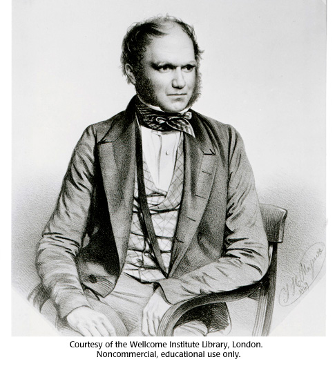 485x530 gallery charles darwin portrait drawing dna learning center - Charles Drawing