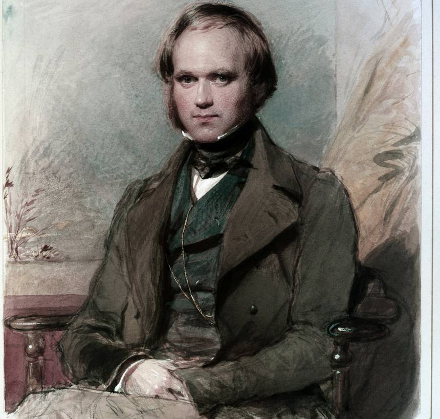 860x819 happy birthday, charles darwin! treehugger - Charles Drawing