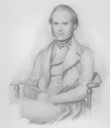 377x440 keynes, r d ed charles darwin's beagle diary cambridge - Charles Drawing