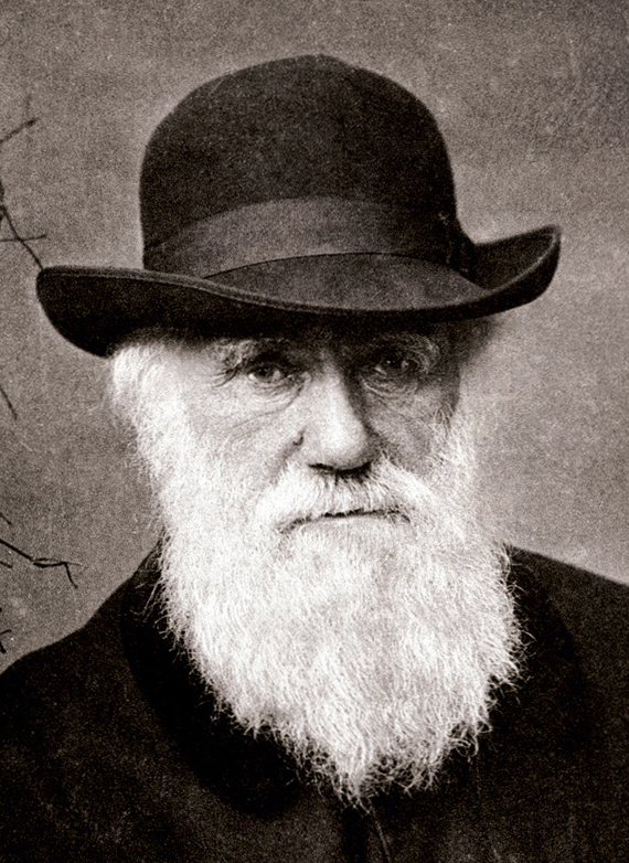 570x782 Religious Views Of Charles Darwin - Charles Drawing