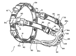 250x184 Patent Art Interesting And Unique Patent Drawings - Chastity Drawing