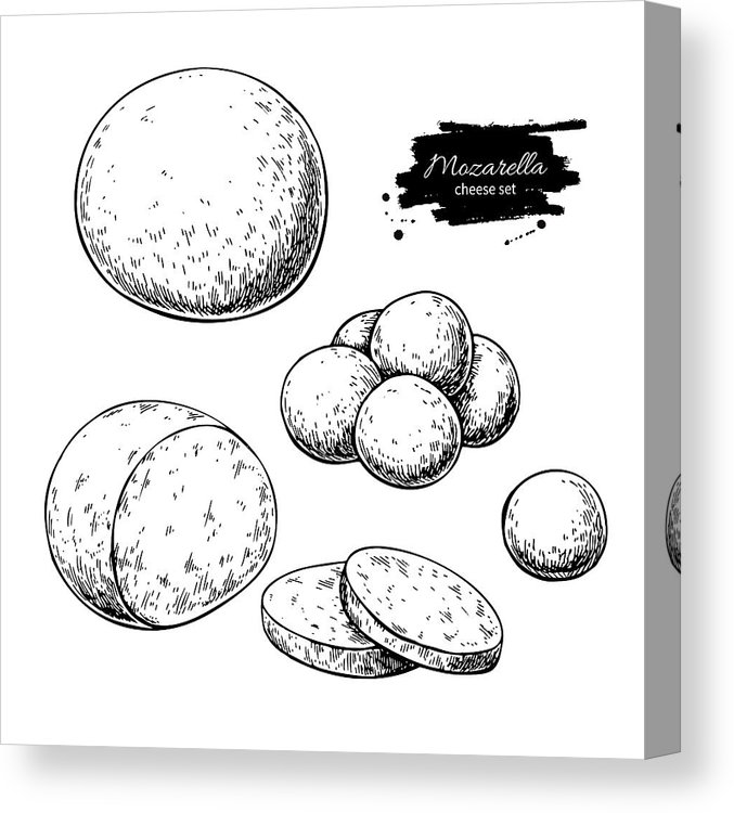 677x750 mozzarella cheese vector drawing hand drawn round piece with baby - Cheese Drawing