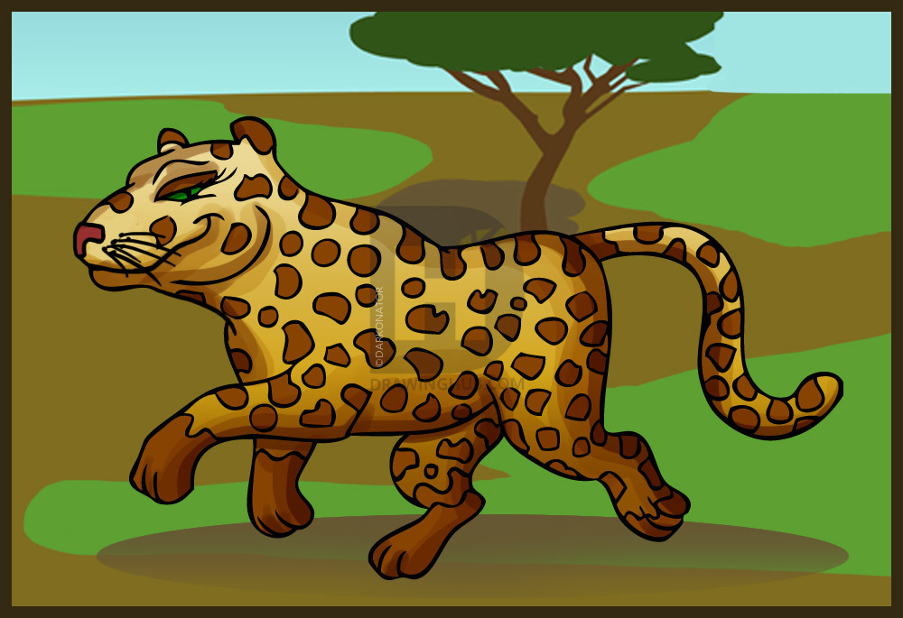 1000x685 how to draw a cartoon cheetah, step - Cheetah Cartoon Drawing