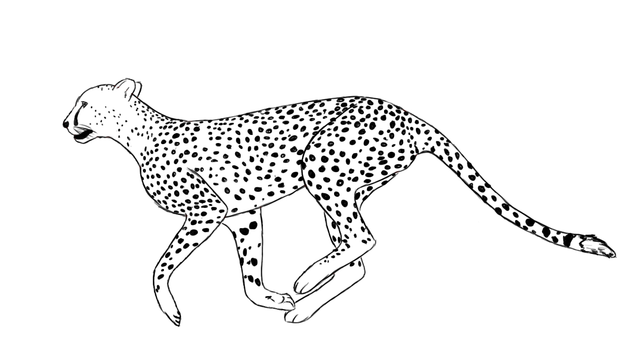 1274x701 how to draw a cheetah - Cheetah Cartoon Drawing