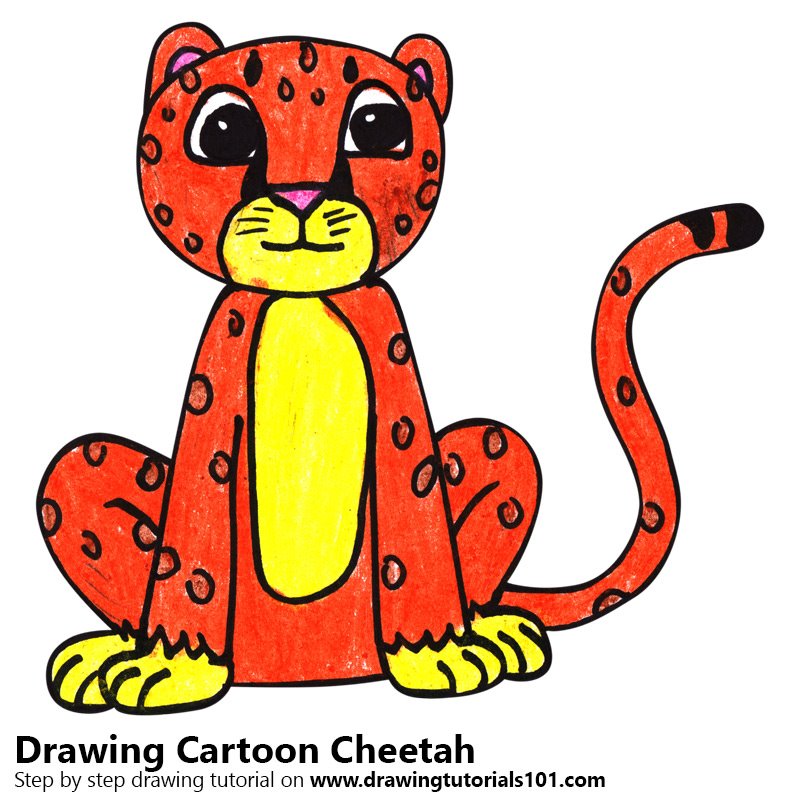 800x800 learn how to draw a cartoon cheetah - Cheetah Cartoon Drawing