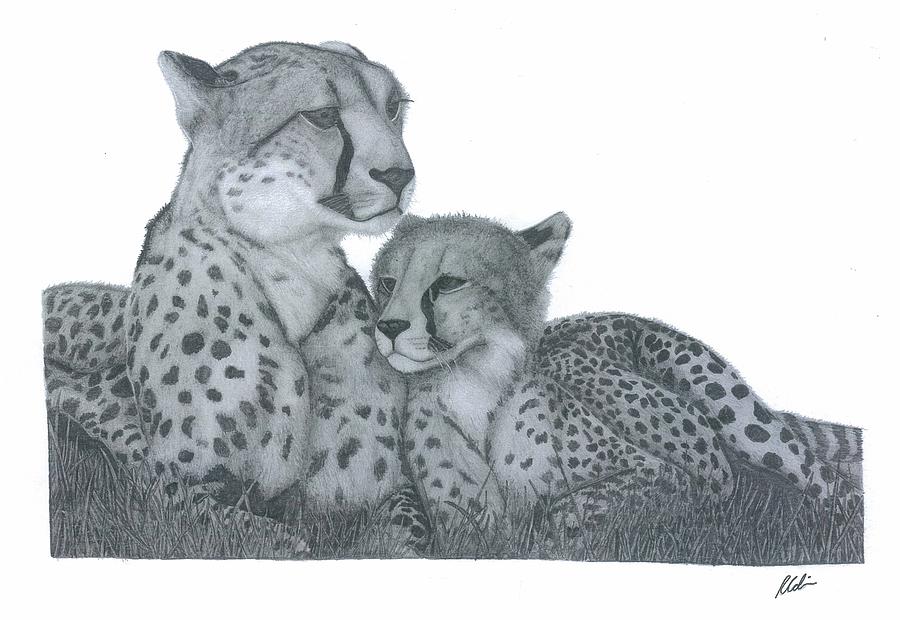 900x620 Cheetah And Cub Drawing - Cheetah Cub Drawing