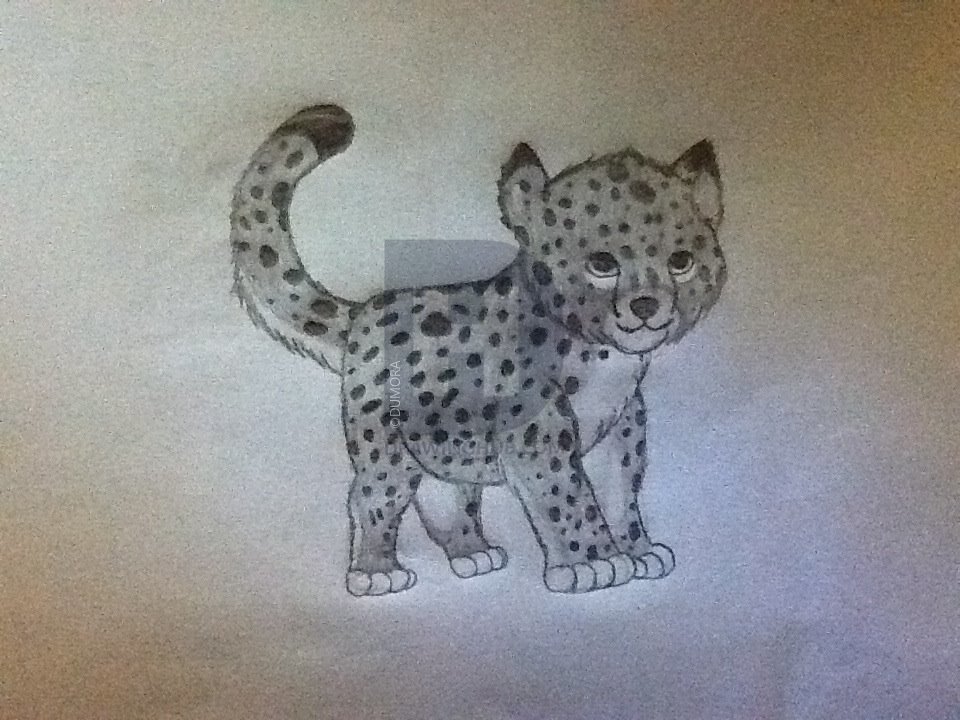 960x720 Cheetah Cub Drawing - Cheetah Cub Drawing