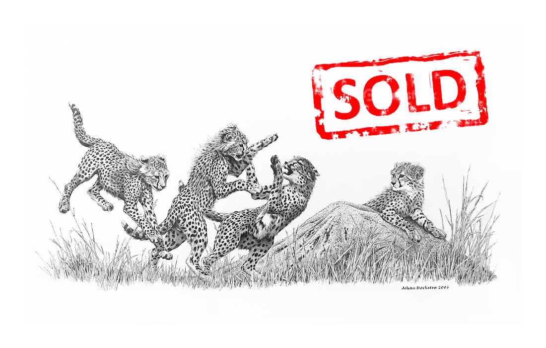 1100x700 cheetah cubs playing pencil on archival paper, unframed - Cheetah Cub Drawing