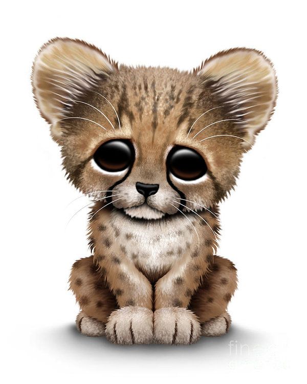 600x750 Cute Baby Cheetah Cub Art Print - Cheetah Cub Drawing